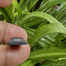  หลวงปู่ทวดกลีบบัว รุ่น 1 รมดำสวย สมบูรณ์