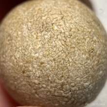 ลูกอมเนื้อผงธูปกรรมฐาน พ่อท่านคลิ้ง วัดถลุงทอง