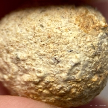 ลูกอมขนมโค พ่อท่านคล้าย วัดสวนขัน