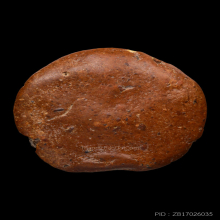 พระซุ้มกอ พิมพ์ขนมเปี๊ยะ จ.กำแพงเพชร