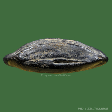 พระคงพิมพ์ใหญ่จัมโบ้หลวงปู่พริ้งวัดบางปะกอก