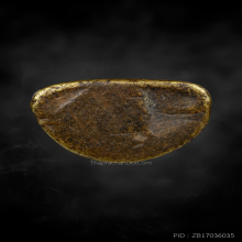 รูปหล่อ หลวงพ่อเงิน วัดบางคลาน