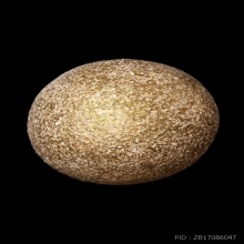 +บัตรหมีพูห์ปู่ทิม ลูกอมผงพรายกุมาร หลวงปู่ทิม