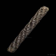 +บัตรสมาคม ตะกรุดสาริกามงกุฎพระพุทธเจ้า หลวงปู่เอี่ยม