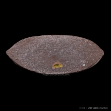 พระปิดตาชุตินธโร หลวงปู่หมุน ปี 2542