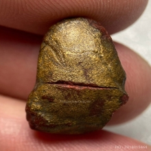 ลูกไม้กัลยา พิมพ์พระพุทธ หลวงพ่อพริ้ง วัดแจ้ง 