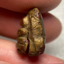 ลูกไม้กัลยา พิมพ์พระพุทธ หลวงพ่อพริ้ง วัดแจ้ง 