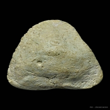 สังกัจจายน์ วัดปราสาทปี06