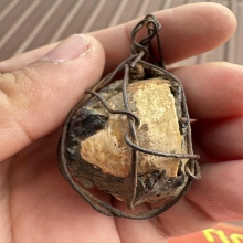 เบี้ยหอยโข่ง หลวงปู่เอี่ยม วัดหนัง