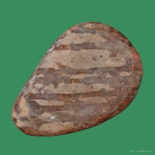 พระบูชา หลวงพ่อเต๋ วัดสามง่าม เนื้อดินเจ็ดป่าช้า