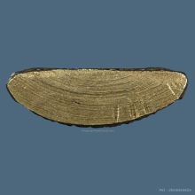 พระกริ่งชัยชุมพล หลวงพ่อเปลี่ยน วัดใต้ รุ่นแรก ปี2510