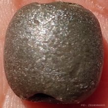 ลูกสะกด ลพ.เนียม วัดน้อย