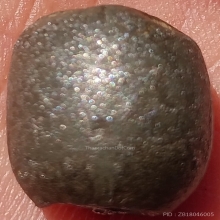 ลูกสะกด ลพ.เนียม วัดน้อย