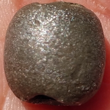 ลูกสะกด ลพ.เนียม วัดน้อย