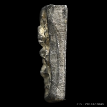 พระพุทธชินราช วัดไลย์ ปี2460 หลังจาร พิมพ์เล็ก