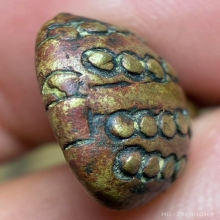 เต่าหลวงพ่อเงินวัดบางคลาน