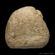 วัดพลับพิมพ์ตุ๊กตาเล็ก