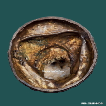 พระบูชา หลวงพ่อเกษม เขมโก สุสานไตรลักษณ์ ปี 37