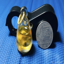 พญาเต่าเรือน เลี่ยมในน้ำมันจันทร์ หลวงพ่อสนิท วัดลำบัวลอย 