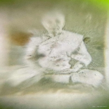 น้ำเต้า รุ่นแรก หลวงพ่อสด วัดปากน้ำ