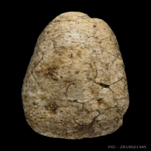 วัดพลับพิมพ์สมาธิ