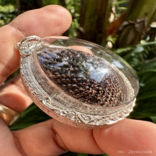 เบี้ยแก้หลวงปู่เพิ่ม วัดกลางบางแก้วกันและแก้สิ่งอัปมงคลต่างๆ