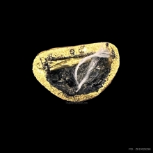 #พระทองคำ.. พระชัยวัฒน์มหามงคล หลวงพ่อคูณ วัดบ้านไร่