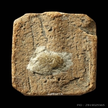 หลวงพ่อปาน พิมพ์ทรงนกฐานเขียง ผงเดิมๆ อุดล้น