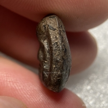 พระปิดตา เนื้อผงคลุกรักจุ่มรัก 