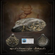 พญาเต่าเรือน หลวงปู่ศุข วัดปากคลองมะขามเฒ่า