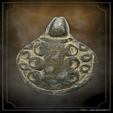 พญาเต่าเรือน หลวงปู่ศุข วัดปากคลองมะขามเฒ่า