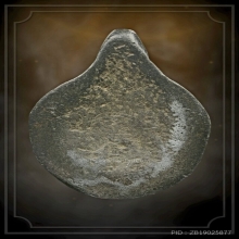 พญาเต่าเรือน หลวงปู่ศุข วัดปากคลองมะขามเฒ่า