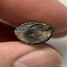 พระบัวเข็ม(พระอุปคุต) วัดชนะสงคราม 