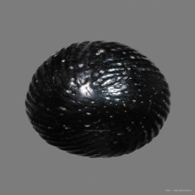 เบี้ยแก้ หลวงปู่เพิ่ม วัดกลางบางแก้ว