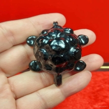 เบี้ยเต่า หลวงปู่เจือ วัดกลางบางแก้ว