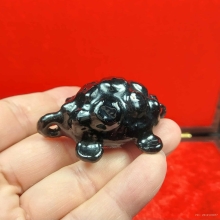 เบี้ยเต่า หลวงปู่เจือ วัดกลางบางแก้ว