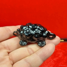 เบี้ยเต่า หลวงปู่เจือ วัดกลางบางแก้ว