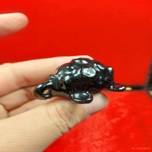 เบี้ยเต่า หลวงปู่เจือ วัดกลางบางแก้ว