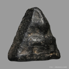 นางพญา พิมพ์อกนูนเล็ก