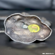 หนุมานเชิญธง หลวงพ่อเพี้ยน วัดเกริ่นกฐิน ปี 59