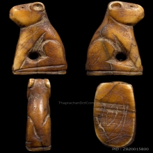 เสือหลวงพ่อปาน ศิลปะวัดกลาง  (ขนาดสาริกา)