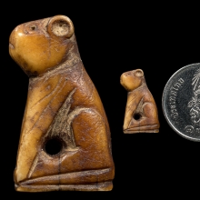 เสือหลวงพ่อปาน ศิลปะวัดกลาง  (ขนาดสาริกา)