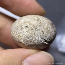 ลูกอมมหากัณฑ์ หลวงพ่อคง วัดบางกะพ้อม จ.สมุทรสงคราม 