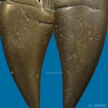 ๙ “หนึ่งเดียว+ดารา+จารเต็ม” เสือหลวงพ่อสละ ประดู่ทรงธรรม ๙