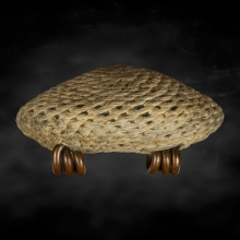 เบี้ยแก้หลวงปู่เจือวัดกลางบางแก้ว