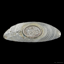 กริ่งศรีเทพ หลวงปู่ทองมา เนื้อเงิน วัดสว่างท่าสี จ.ร้อยเอ็ด