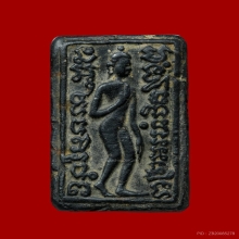 สิงห์ป้อนเหยื่อ ฝักไม้ดำ กรุบางระกำ จ.พิษณุโลก