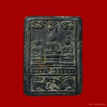 สิงห์ป้อนเหยื่อ ฝักไม้ดำ กรุบางระกำ จ.พิษณุโลก