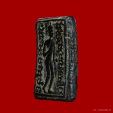 สิงห์ป้อนเหยื่อ ฝักไม้ดำ กรุบางระกำ จ.พิษณุโลก