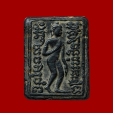 สิงห์ป้อนเหยื่อ ฝักไม้ดำ กรุบางระกำ จ.พิษณุโลก